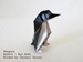 Photo Origami Penguin, Author : Ryo Aoki, Folded by Tatsuto Suzuki
